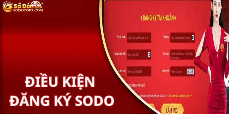 Điều kiện khi thực hiện hướng dẫn đăng ký SODO