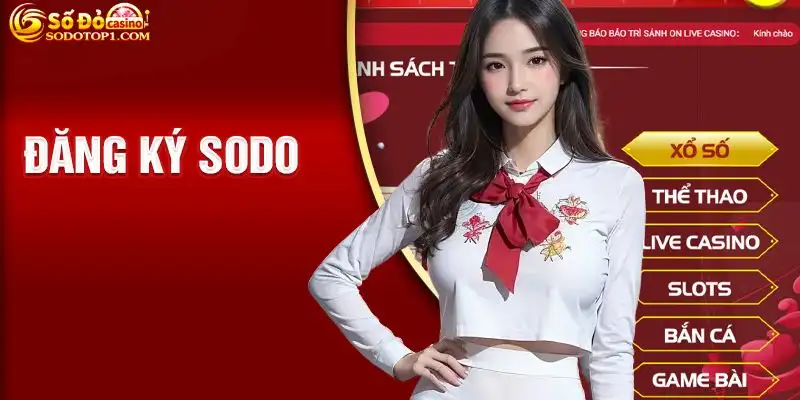 Quy trình hướng dẫn đăng ký SODO