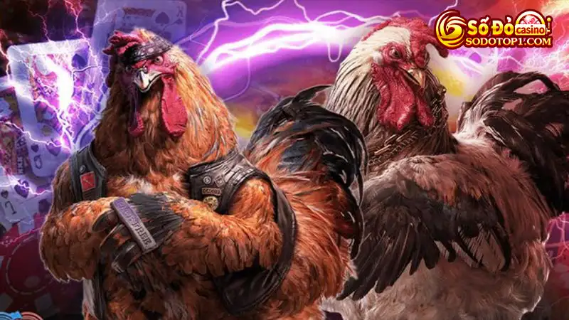 Dịch vụ chăm sóc của SODO cực kỳ chuyên nghiệp