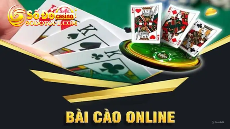 Giới thiệu chung về bài cào Sodo