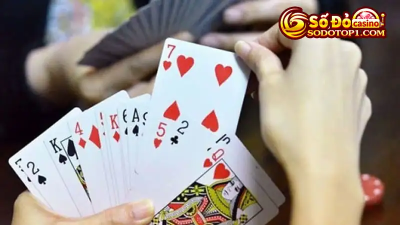 Học kinh nghiệm chơi phỏm không thua từ cao thủ game bài