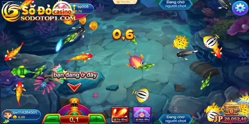 Twoyeah Jackpot Fishing