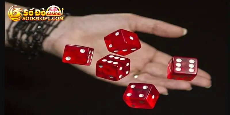 Các câu hỏi liên quan đến tài xỉu Sodo