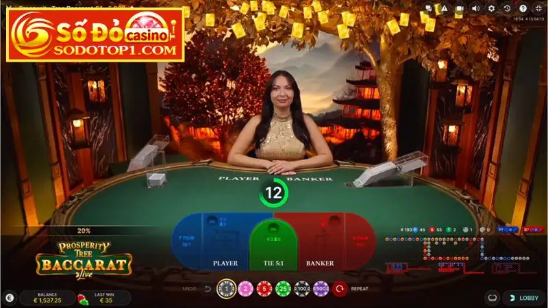 Hướng dẫn tham gia Baccarat trực tuyến đơn giản