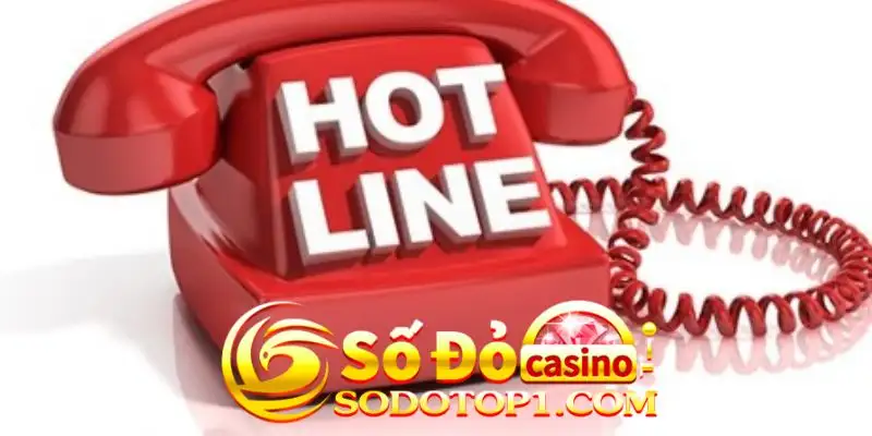 Liên hệ Sodo Casino bằng cách gọi điện trực tiếp