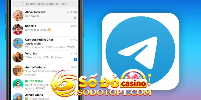 Liên hệ qua telegram